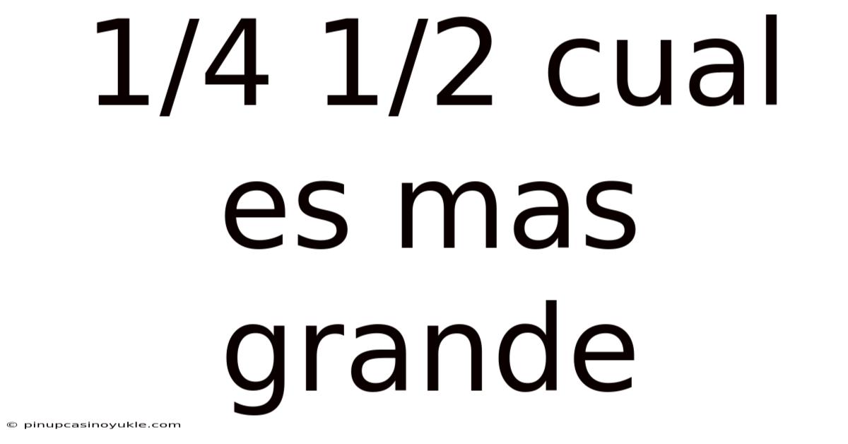 1/4 1/2 Cual Es Mas Grande