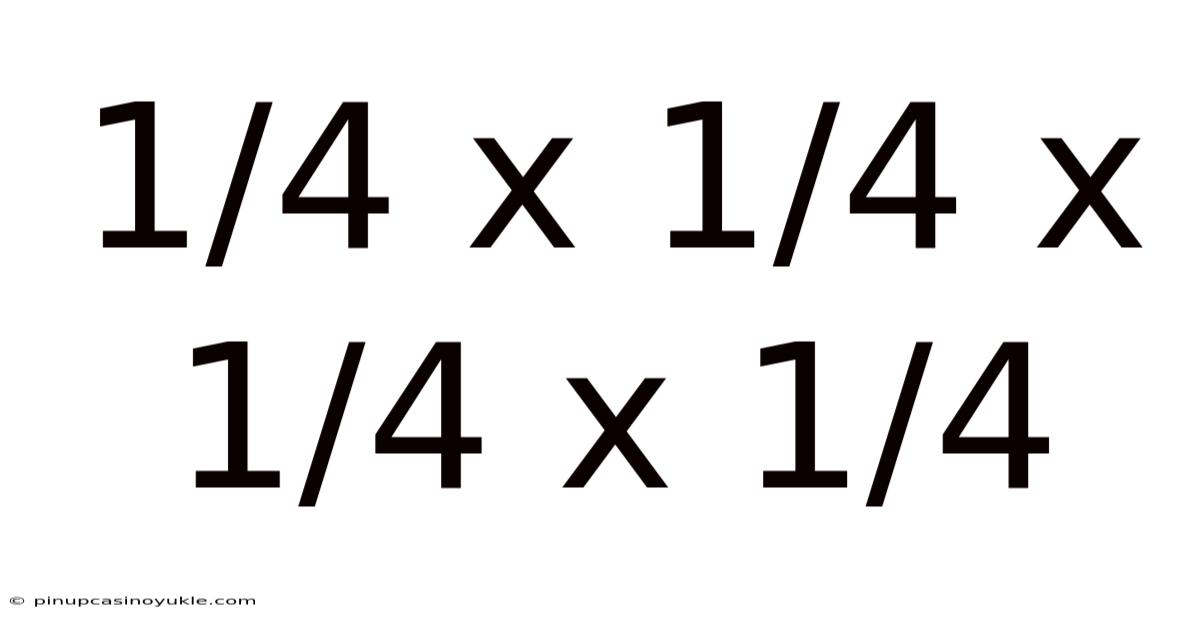 1/4 X 1/4 X 1/4 X 1/4