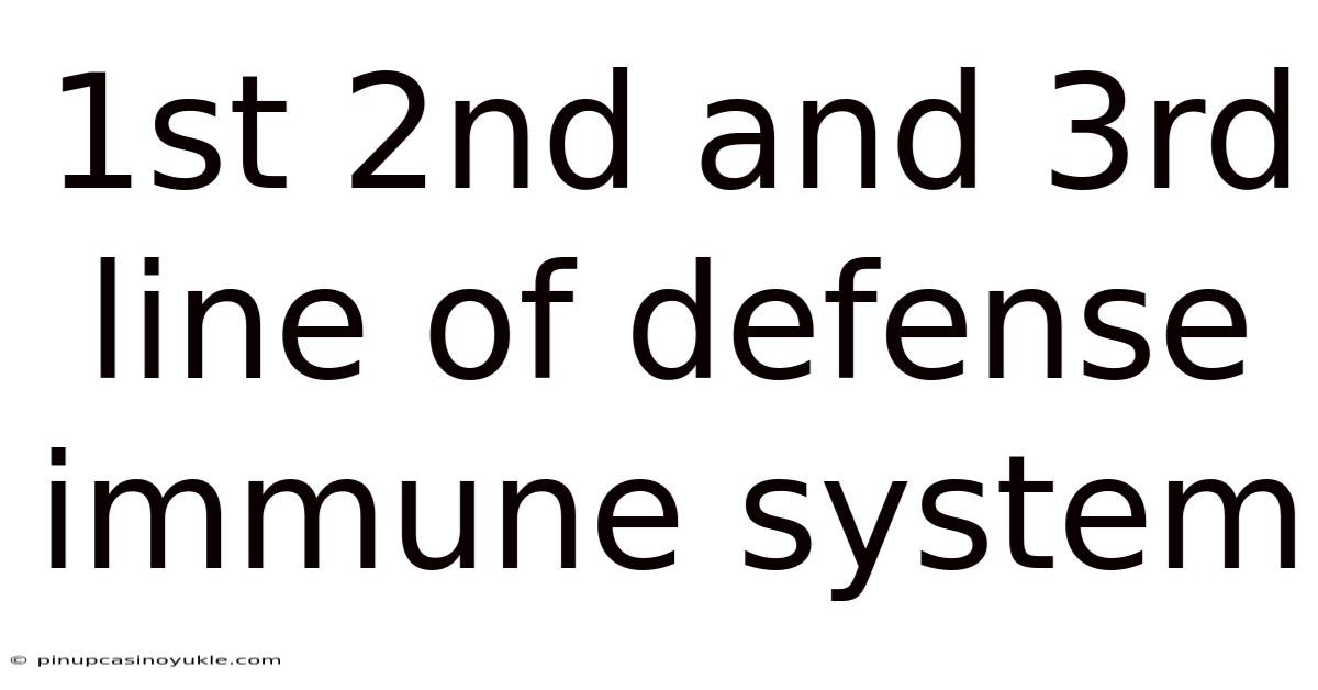 1st 2nd And 3rd Line Of Defense Immune System