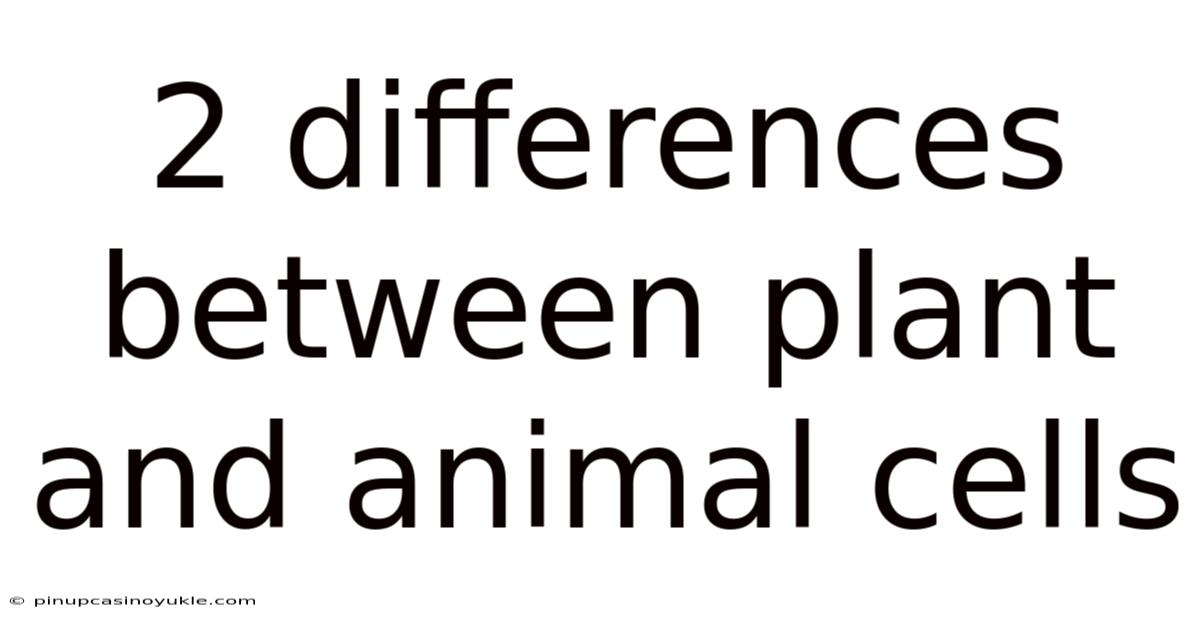 2 Differences Between Plant And Animal Cells