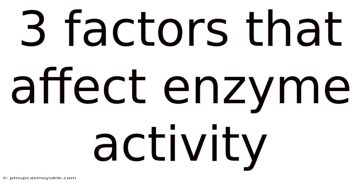3 Factors That Affect Enzyme Activity