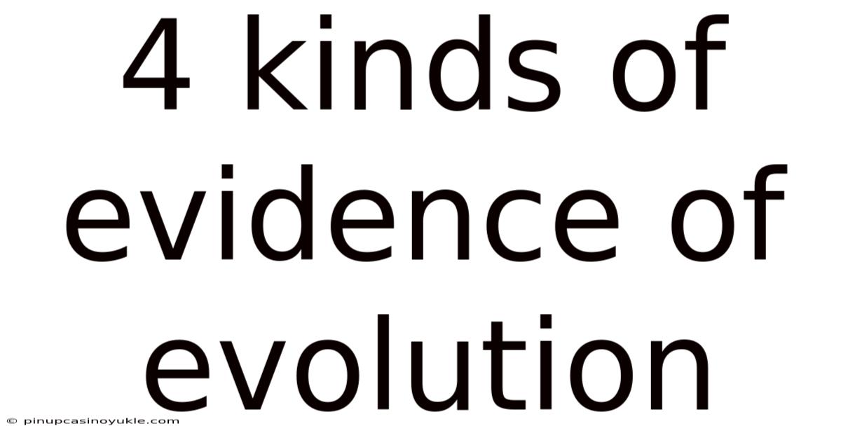 4 Kinds Of Evidence Of Evolution