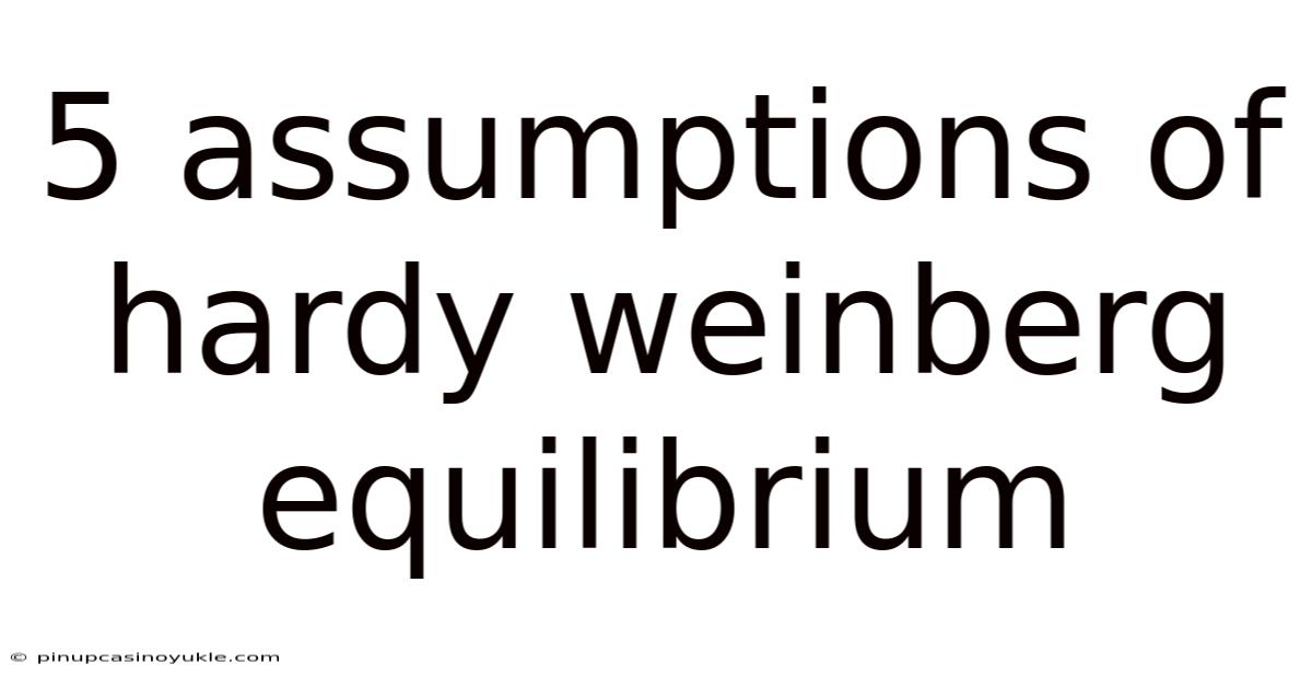 5 Assumptions Of Hardy Weinberg Equilibrium