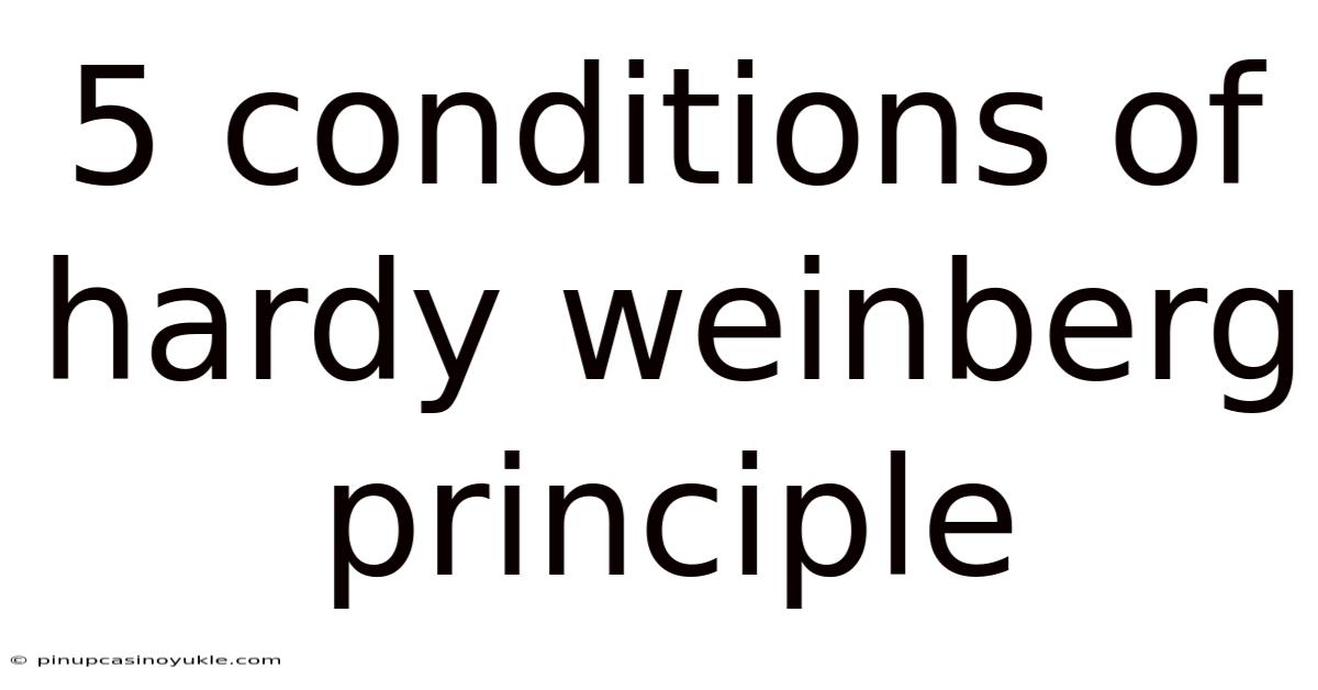 5 Conditions Of Hardy Weinberg Principle