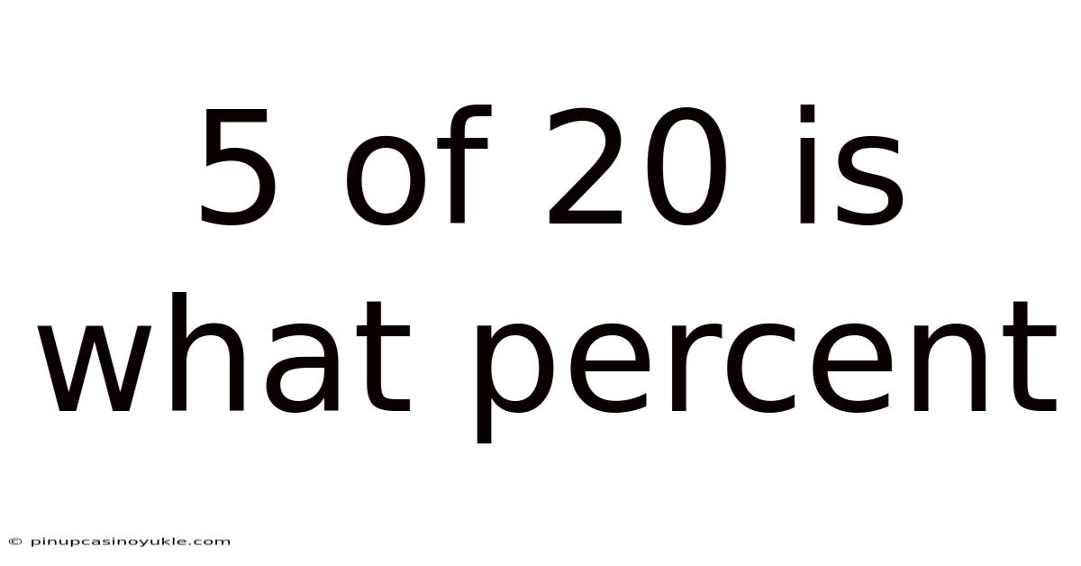 5 Of 20 Is What Percent