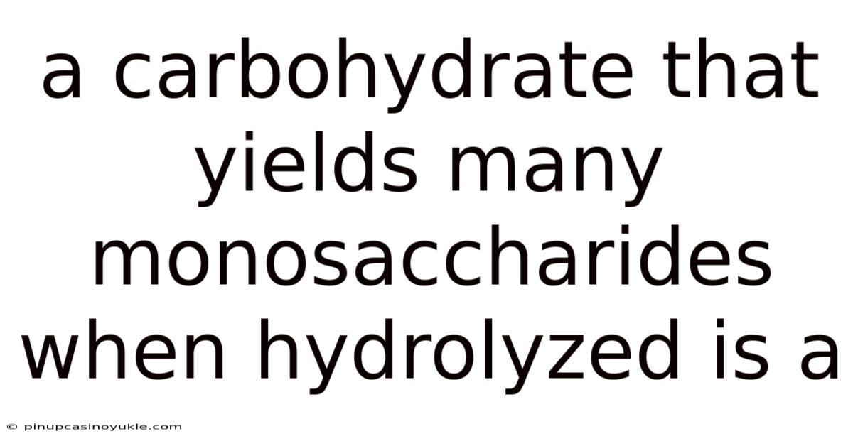 A Carbohydrate That Yields Many Monosaccharides When Hydrolyzed Is A