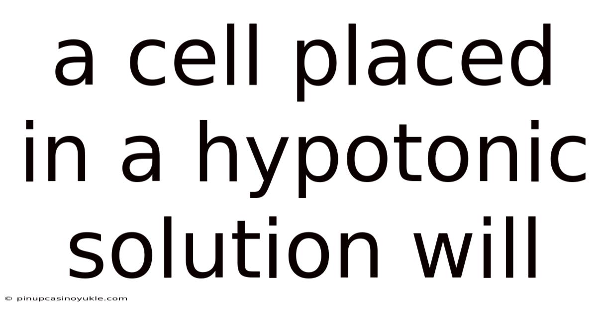 A Cell Placed In A Hypotonic Solution Will