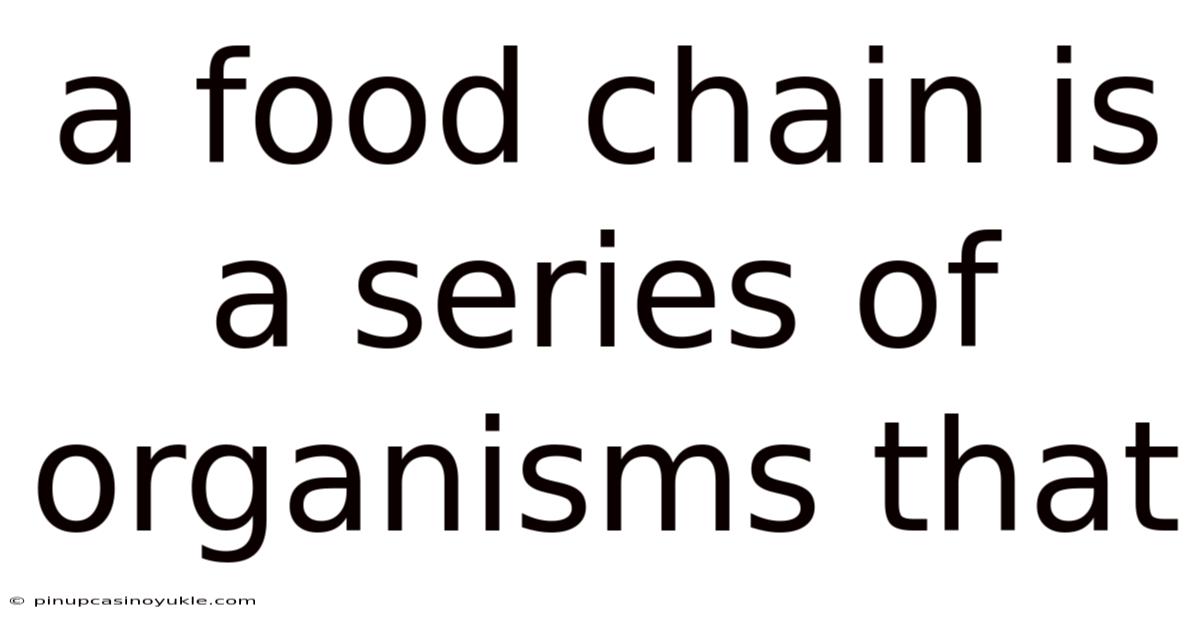 A Food Chain Is A Series Of Organisms That