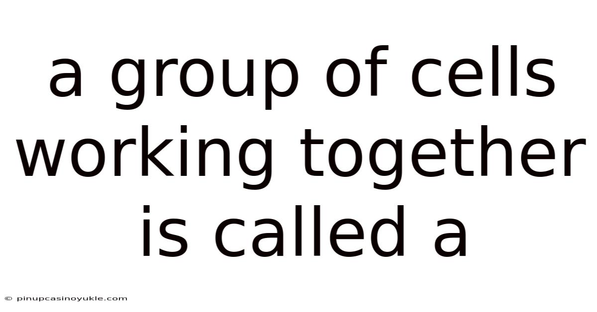 A Group Of Cells Working Together Is Called A