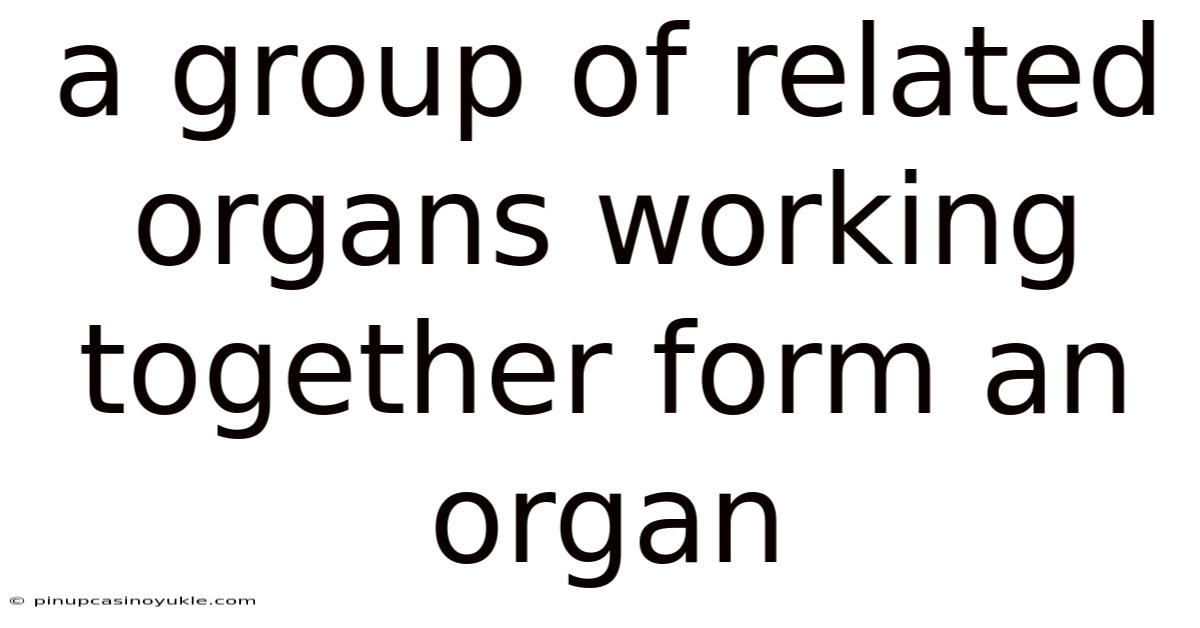 A Group Of Related Organs Working Together Form An Organ
