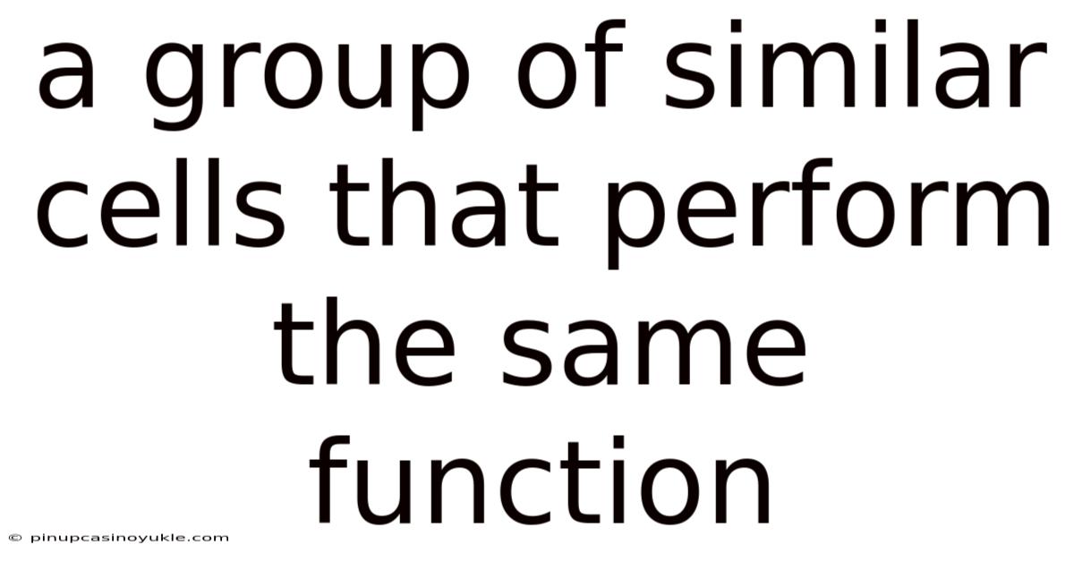 A Group Of Similar Cells That Perform The Same Function