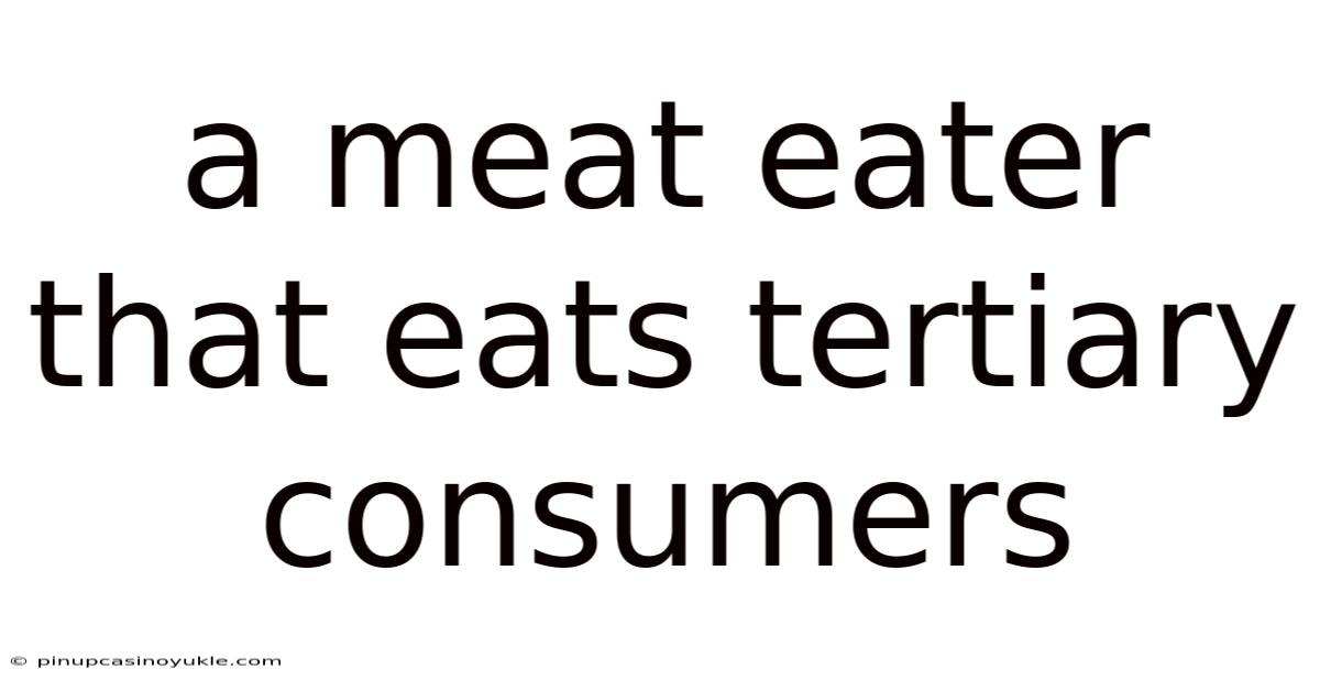 A Meat Eater That Eats Tertiary Consumers