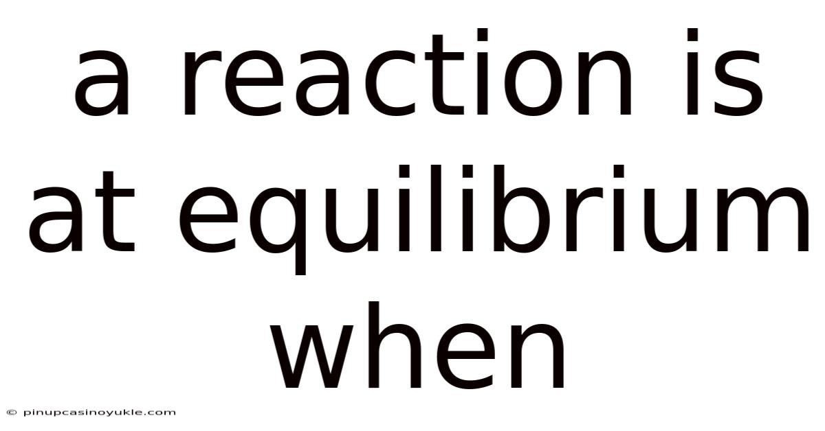 A Reaction Is At Equilibrium When