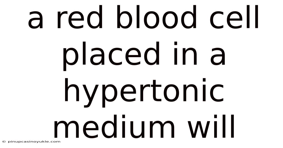 A Red Blood Cell Placed In A Hypertonic Medium Will