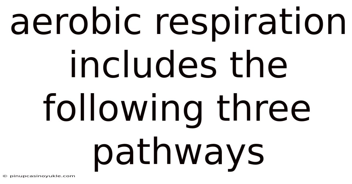 Aerobic Respiration Includes The Following Three Pathways