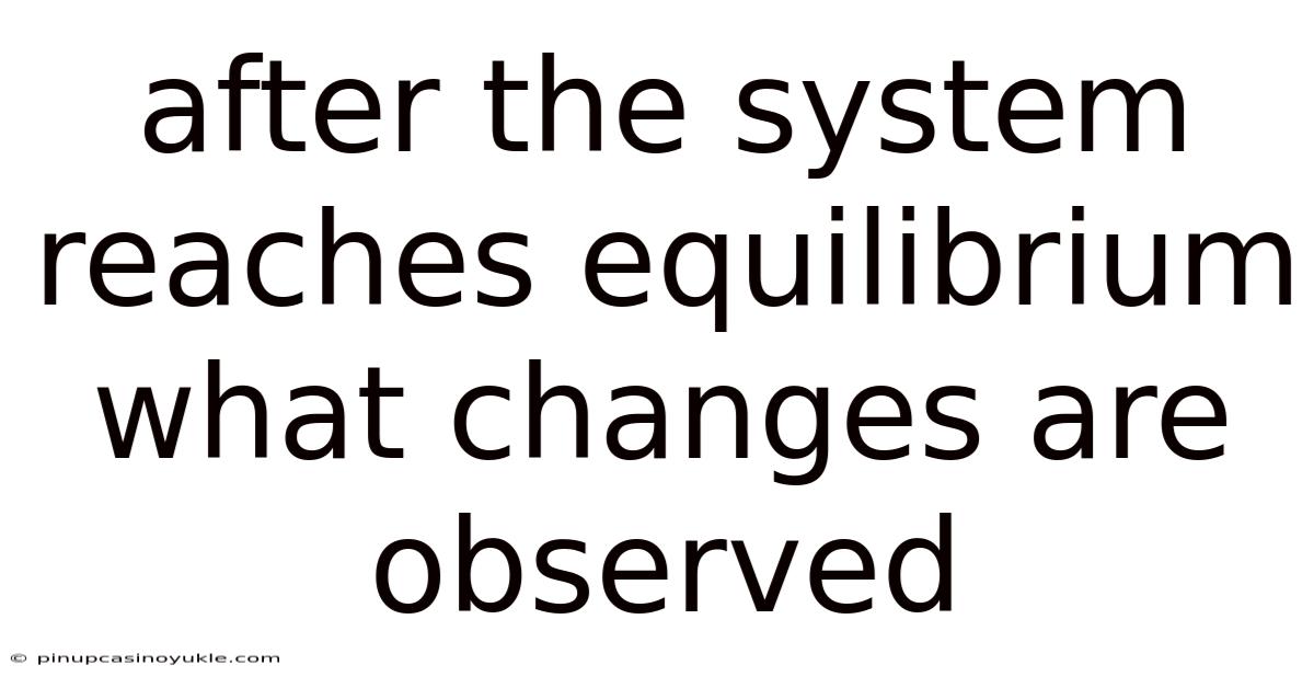 After The System Reaches Equilibrium What Changes Are Observed