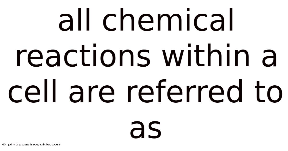 All Chemical Reactions Within A Cell Are Referred To As