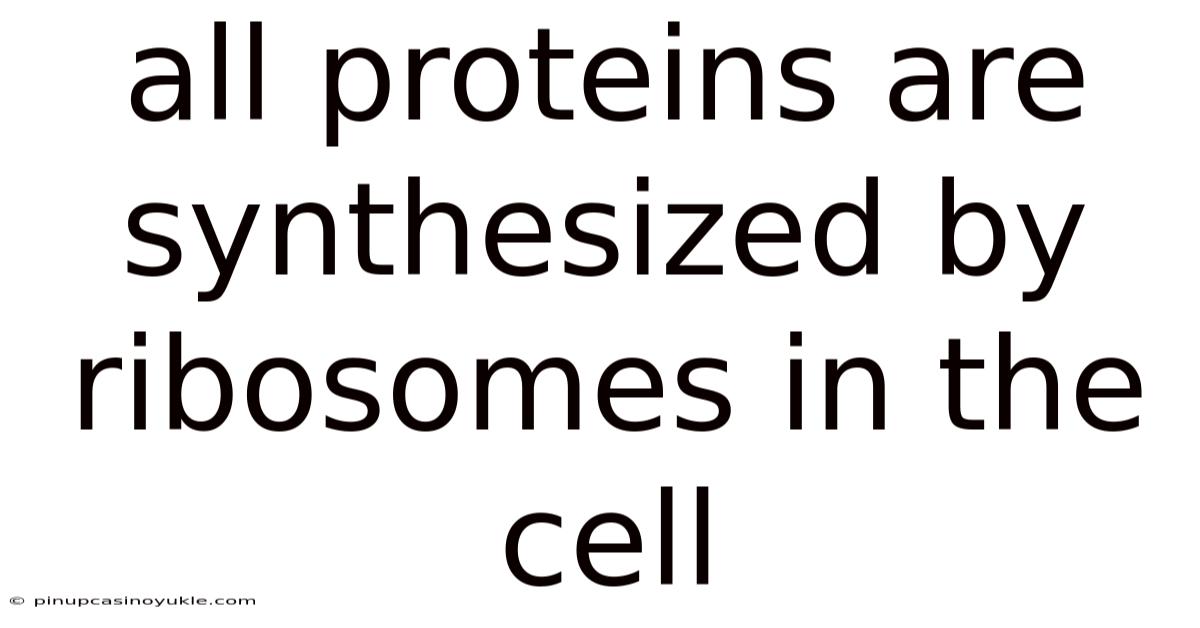 All Proteins Are Synthesized By Ribosomes In The Cell