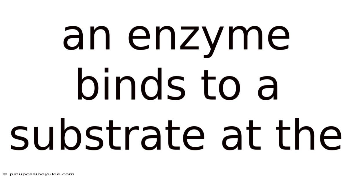 An Enzyme Binds To A Substrate At The