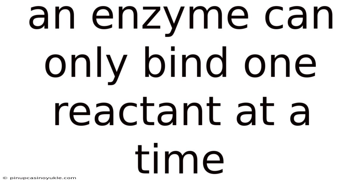 An Enzyme Can Only Bind One Reactant At A Time