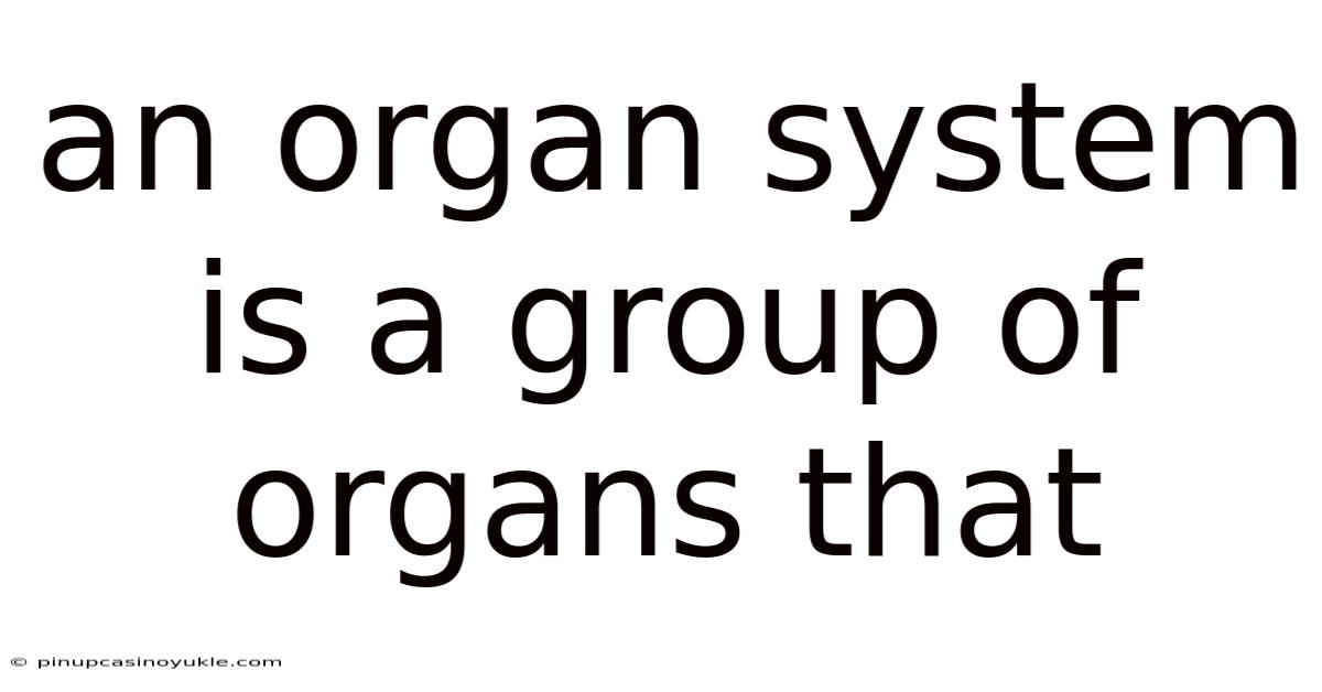 An Organ System Is A Group Of Organs That