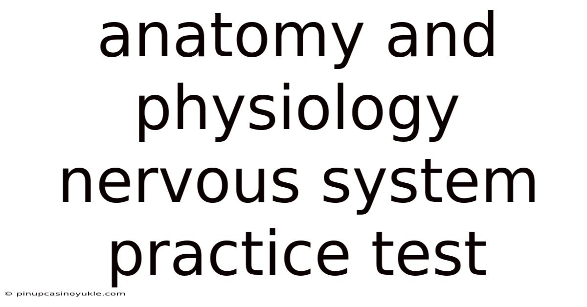 Anatomy And Physiology Nervous System Practice Test