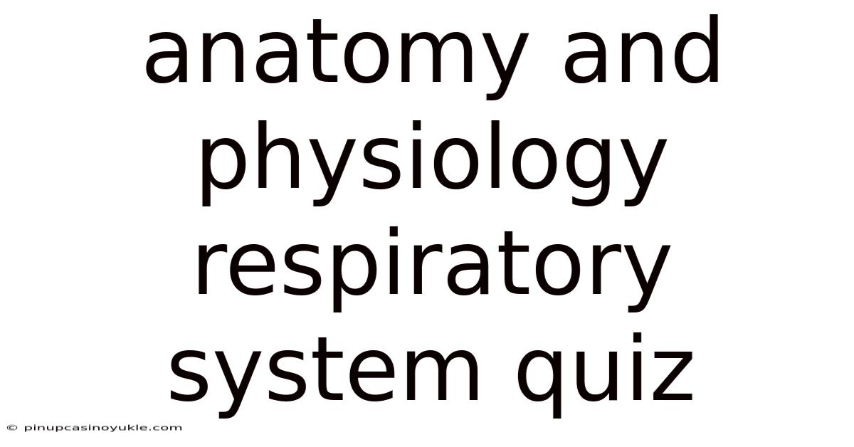 Anatomy And Physiology Respiratory System Quiz