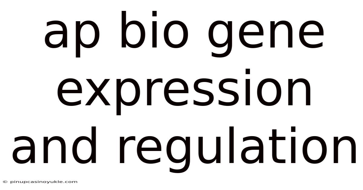 Ap Bio Gene Expression And Regulation