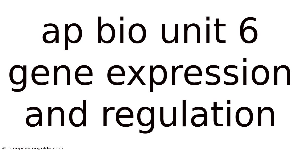 Ap Bio Unit 6 Gene Expression And Regulation