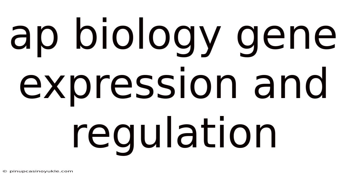 Ap Biology Gene Expression And Regulation