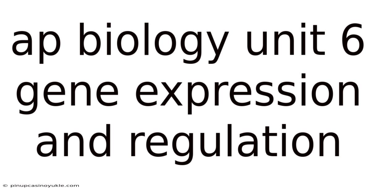 Ap Biology Unit 6 Gene Expression And Regulation