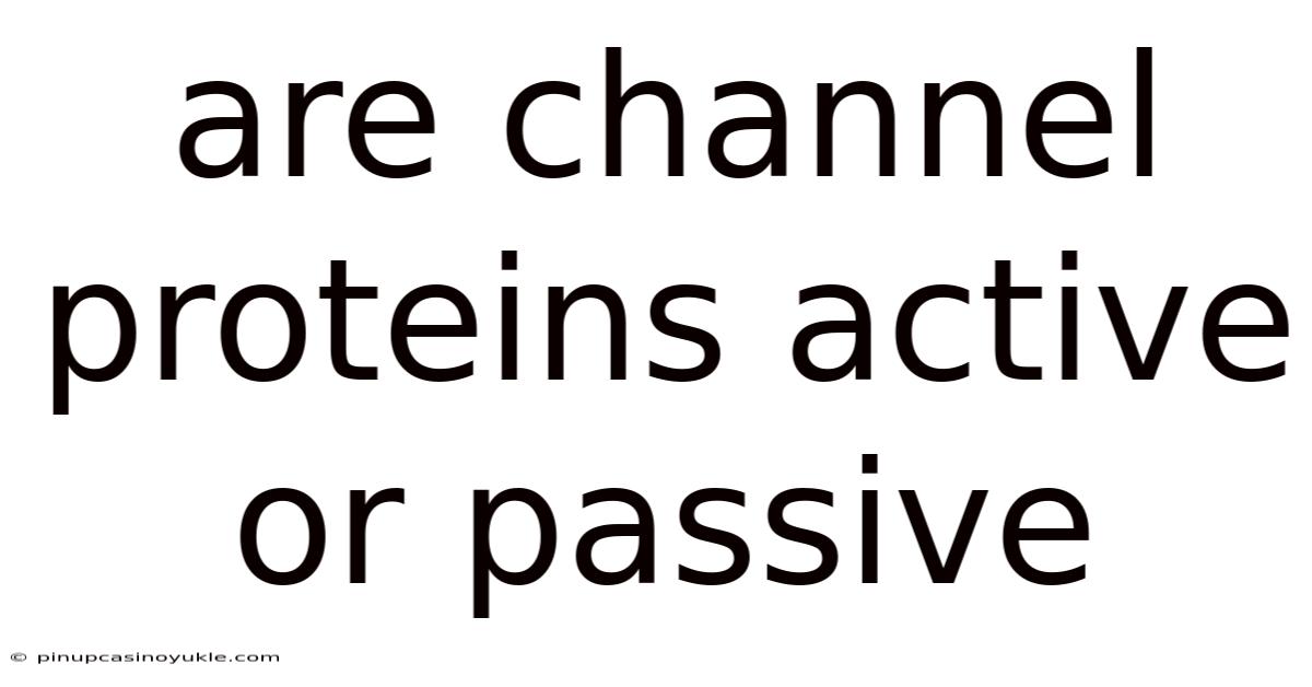 Are Channel Proteins Active Or Passive