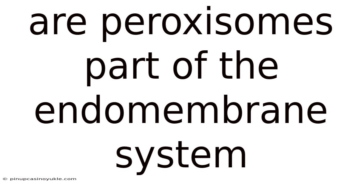 Are Peroxisomes Part Of The Endomembrane System