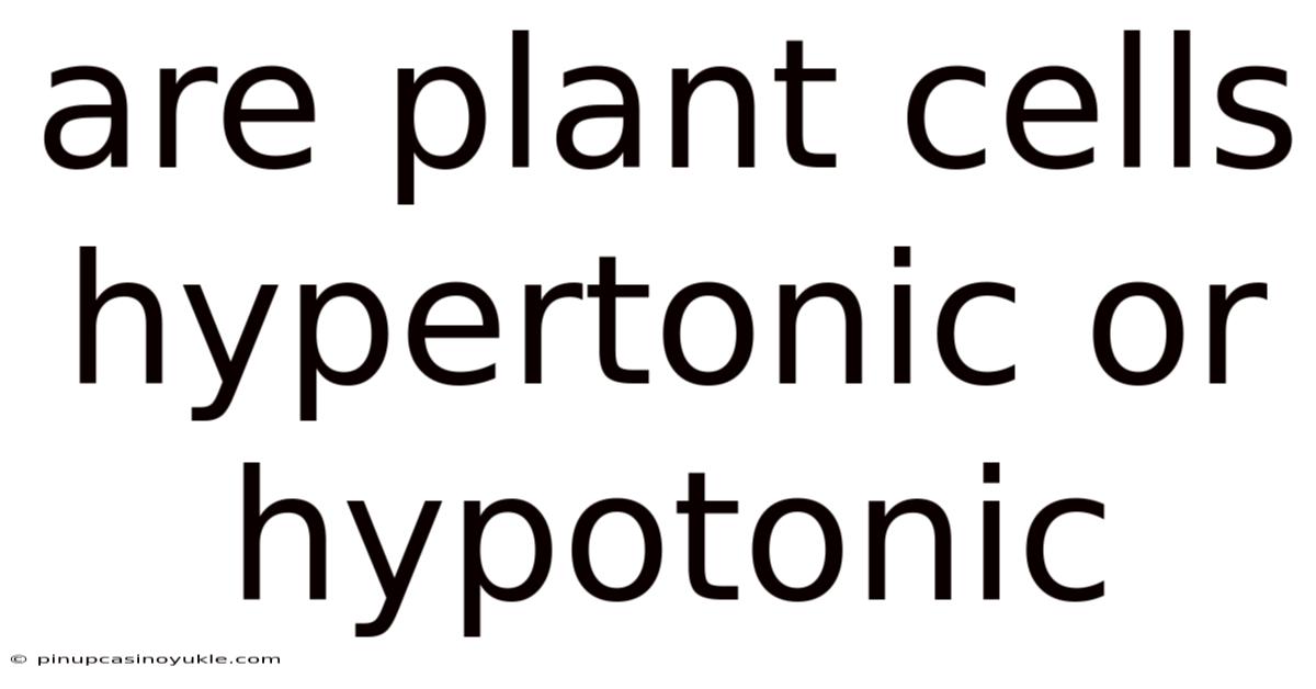 Are Plant Cells Hypertonic Or Hypotonic