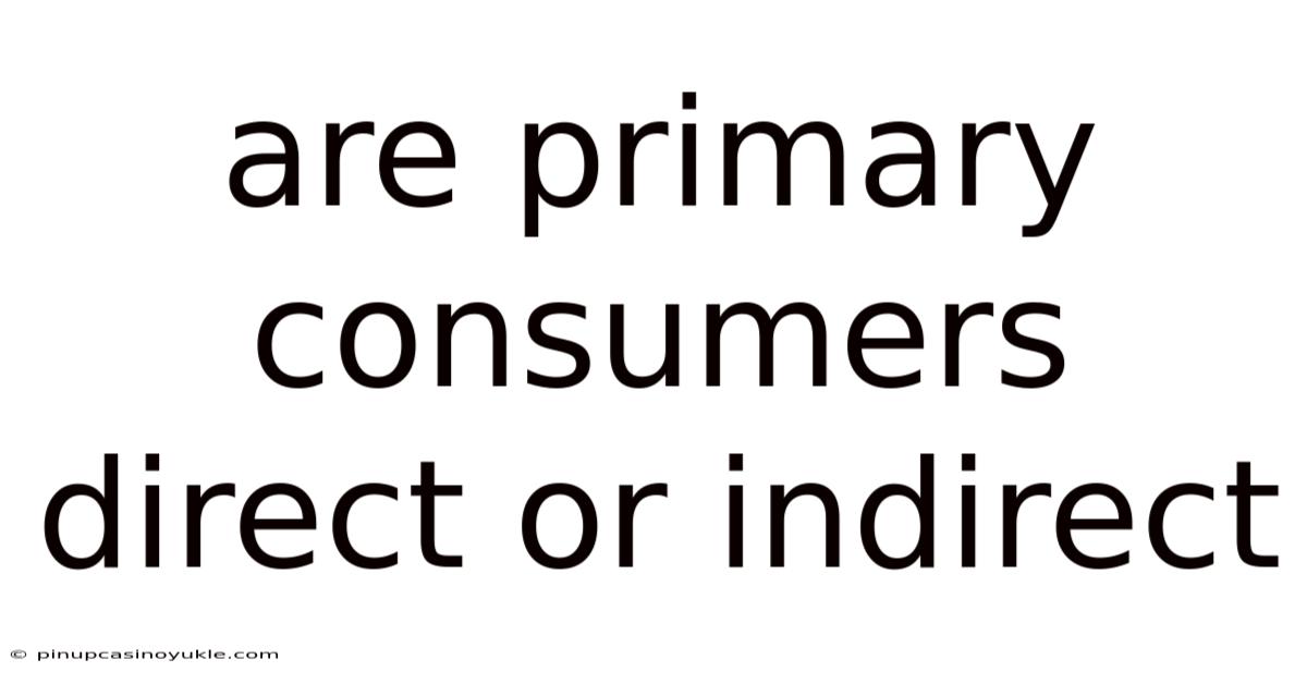 Are Primary Consumers Direct Or Indirect