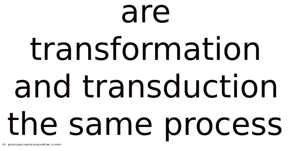 Are Transformation And Transduction The Same Process