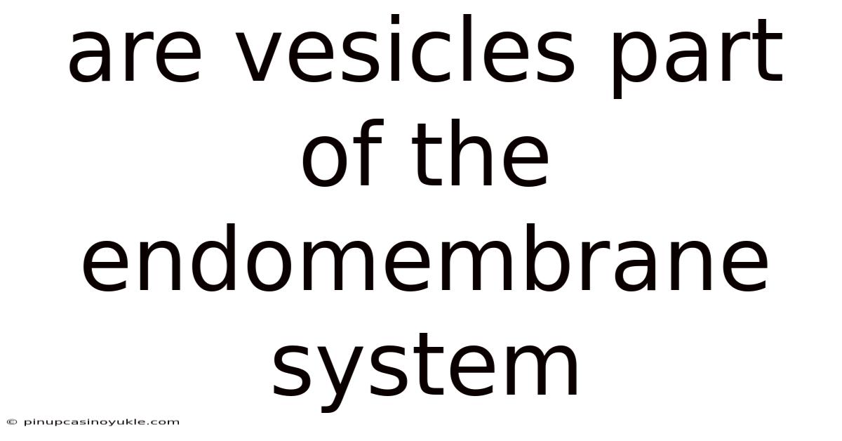 Are Vesicles Part Of The Endomembrane System