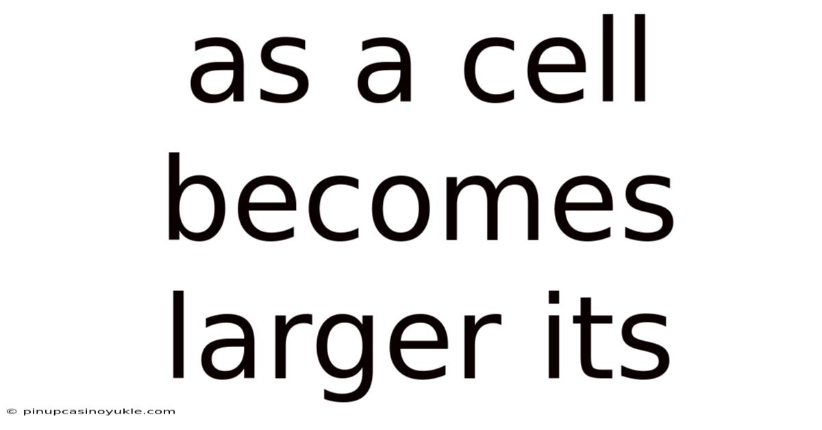 As A Cell Becomes Larger Its