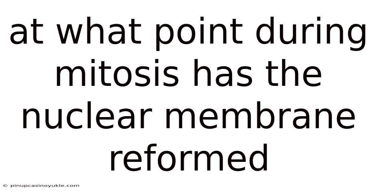 At What Point During Mitosis Has The Nuclear Membrane Reformed