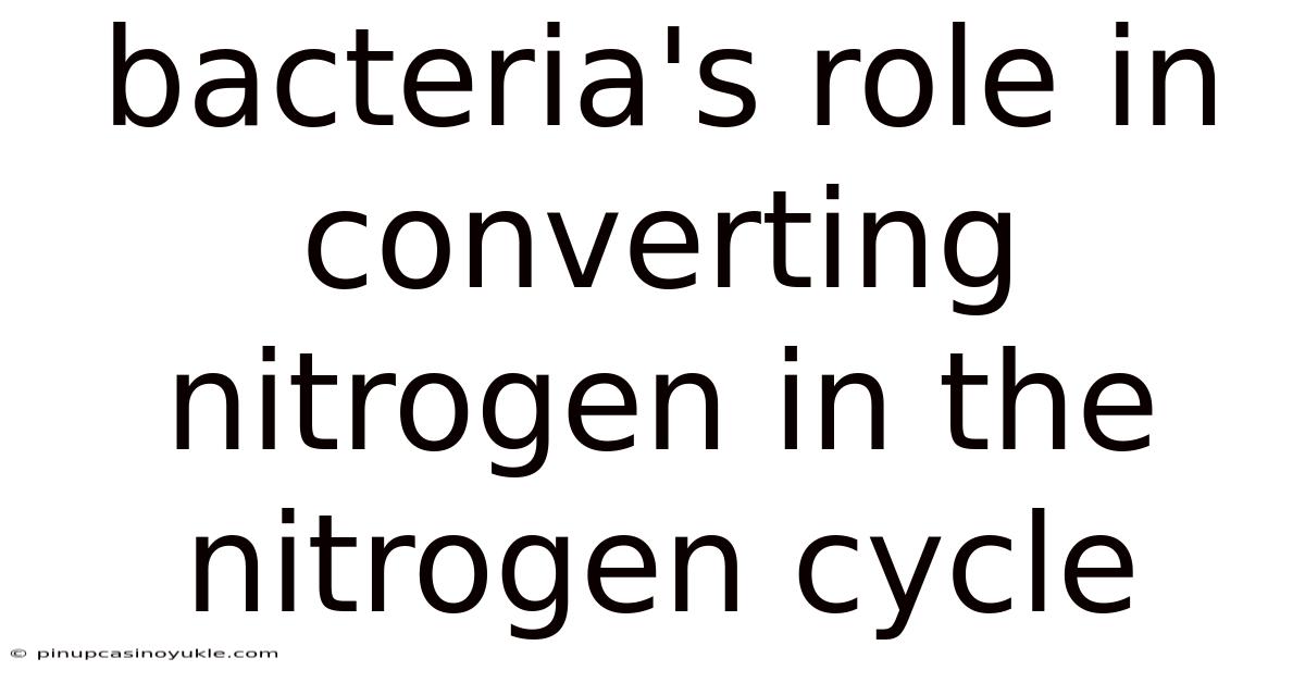 Bacteria's Role In Converting Nitrogen In The Nitrogen Cycle