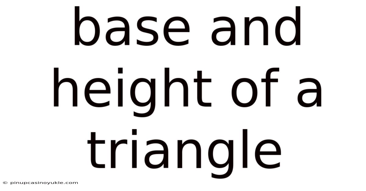 Base And Height Of A Triangle