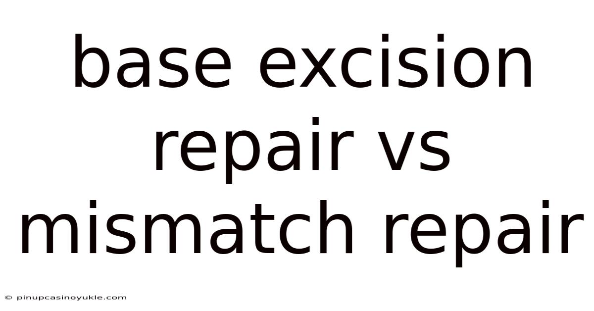 Base Excision Repair Vs Mismatch Repair