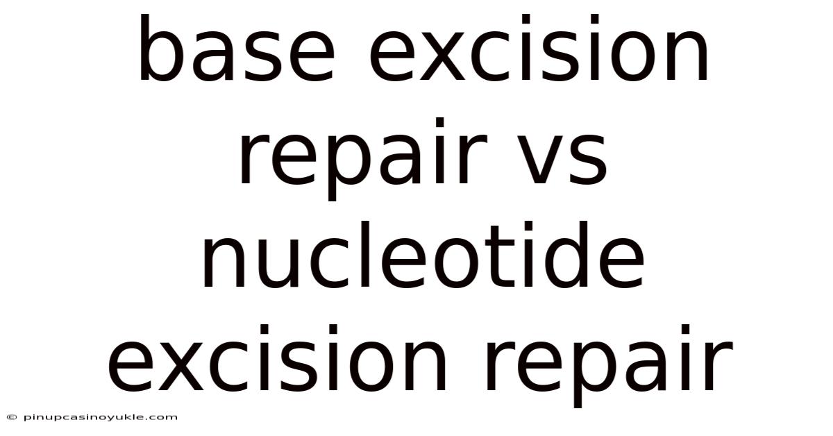 Base Excision Repair Vs Nucleotide Excision Repair