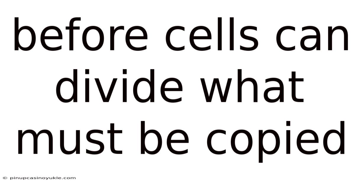 Before Cells Can Divide What Must Be Copied