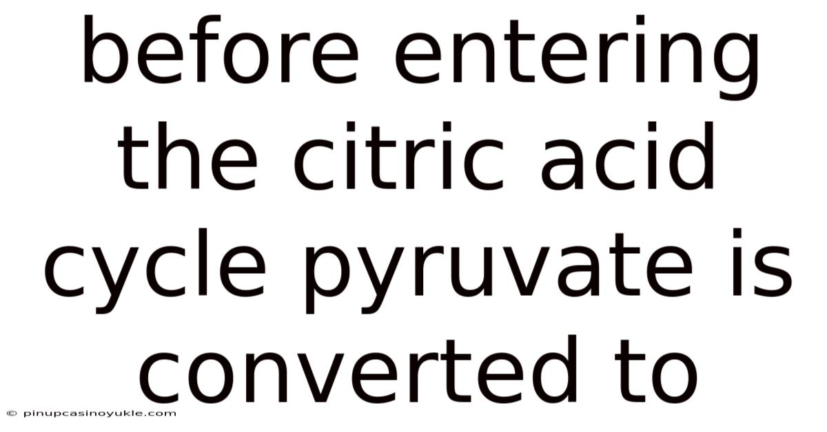 Before Entering The Citric Acid Cycle Pyruvate Is Converted To