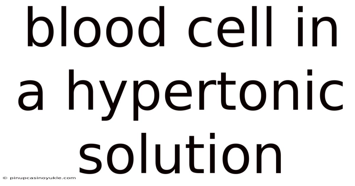 Blood Cell In A Hypertonic Solution