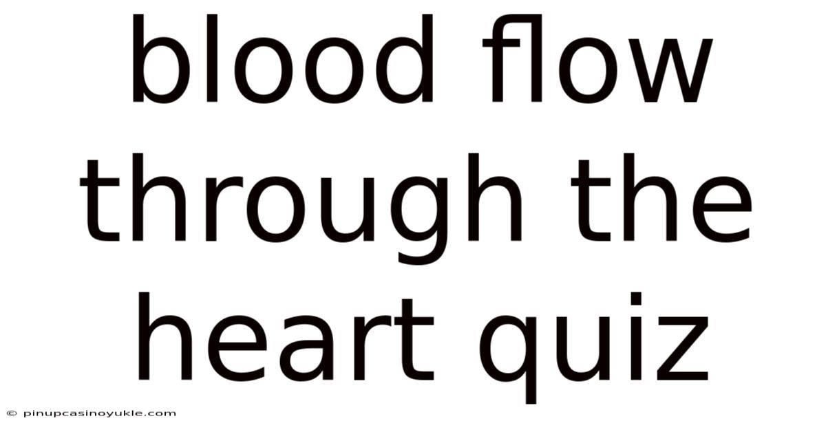 Blood Flow Through The Heart Quiz