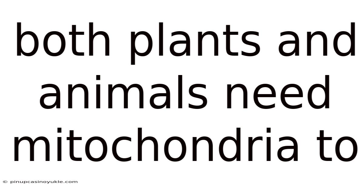 Both Plants And Animals Need Mitochondria To