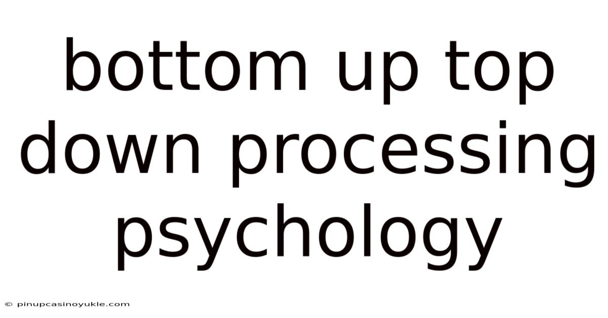 Bottom Up Top Down Processing Psychology