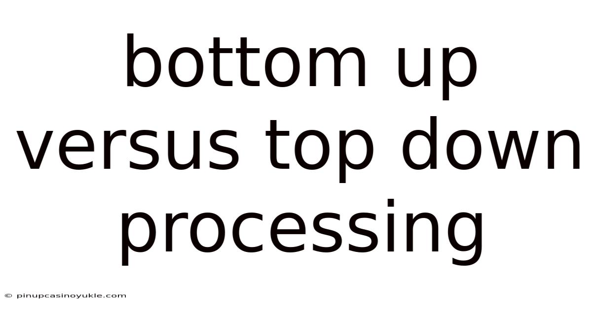 Bottom Up Versus Top Down Processing